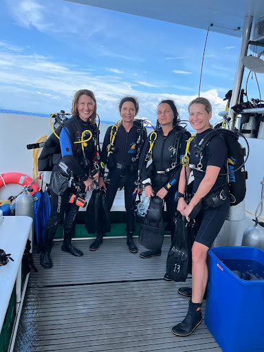 Photo from customer review