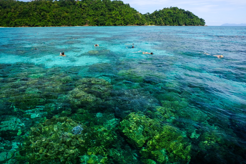 Surin Islands snorkeling over shallow coral reef