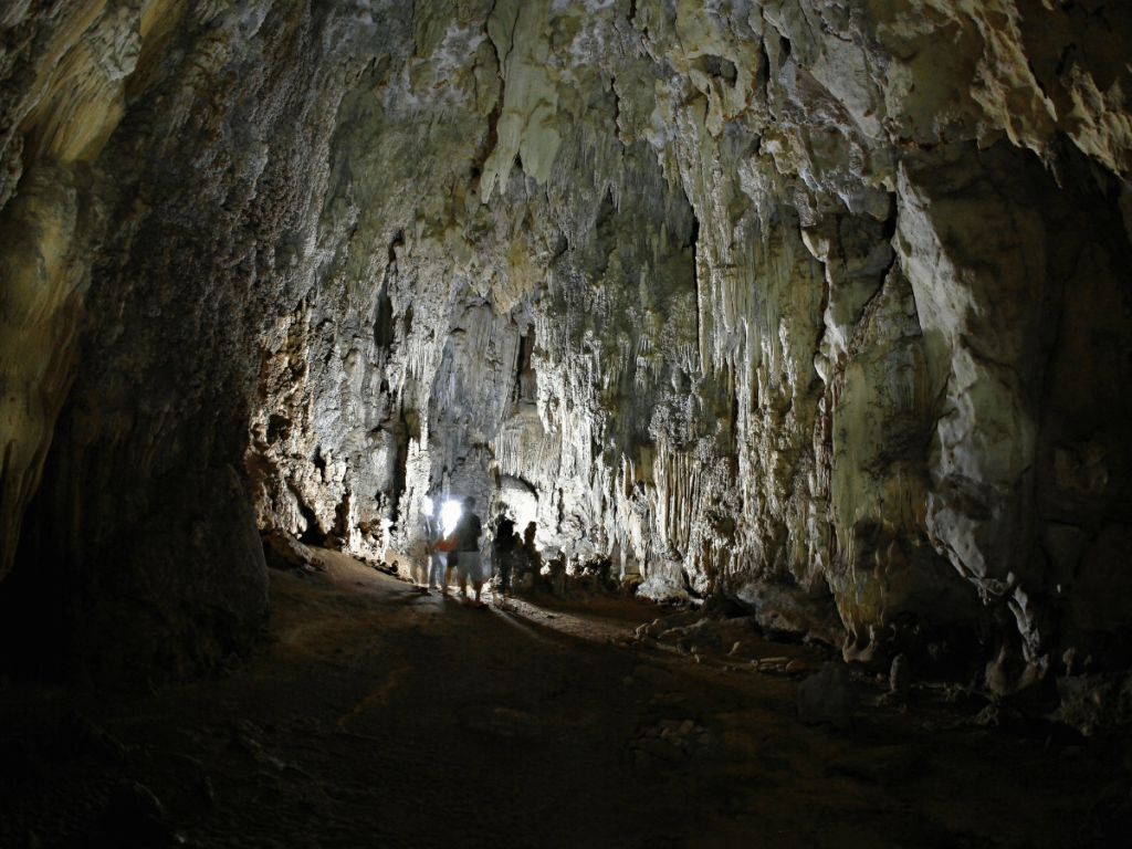 Visitors exploring Pakarang Cave during a guided tour in Khao Sok National Park