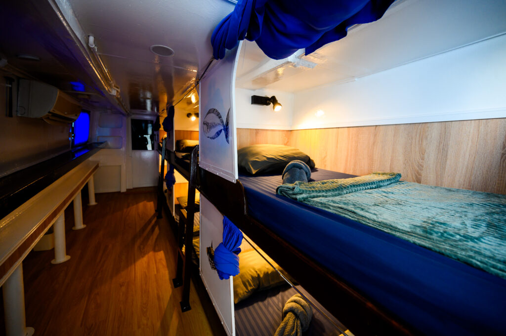 Shared berth cabin on MV Andaman liveaboard with comfortable bedding and storage