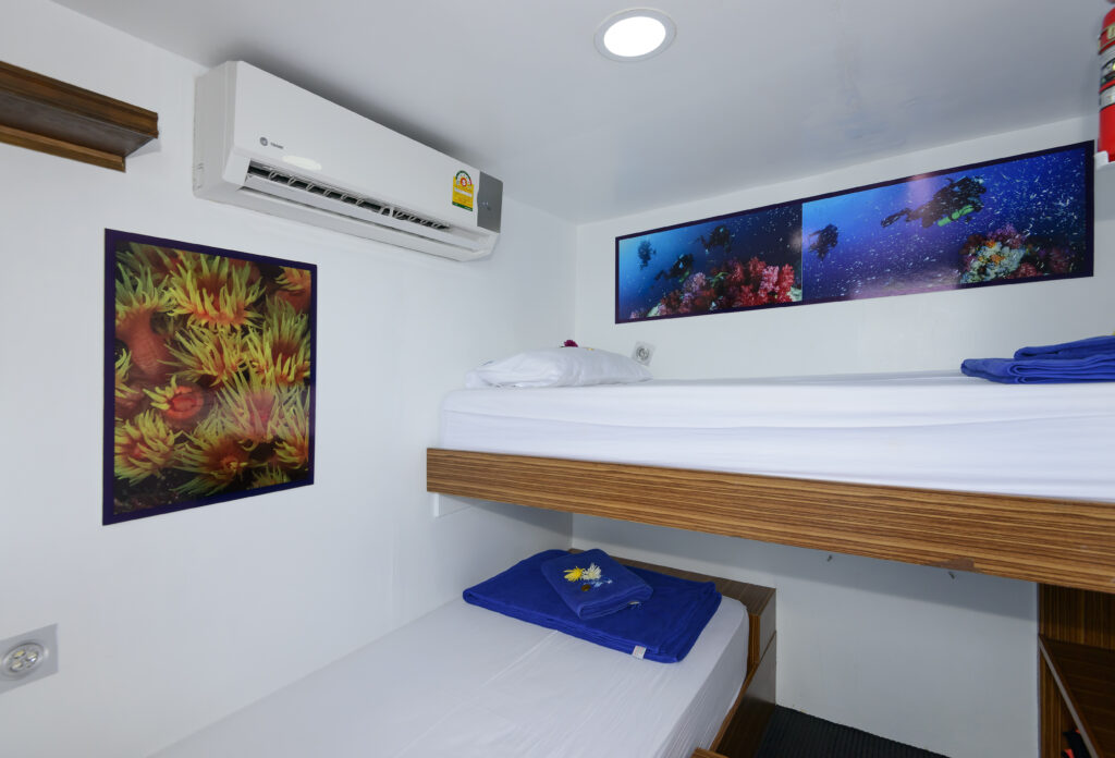 Comfort twin cabin on Bavaria liveaboard dive boat