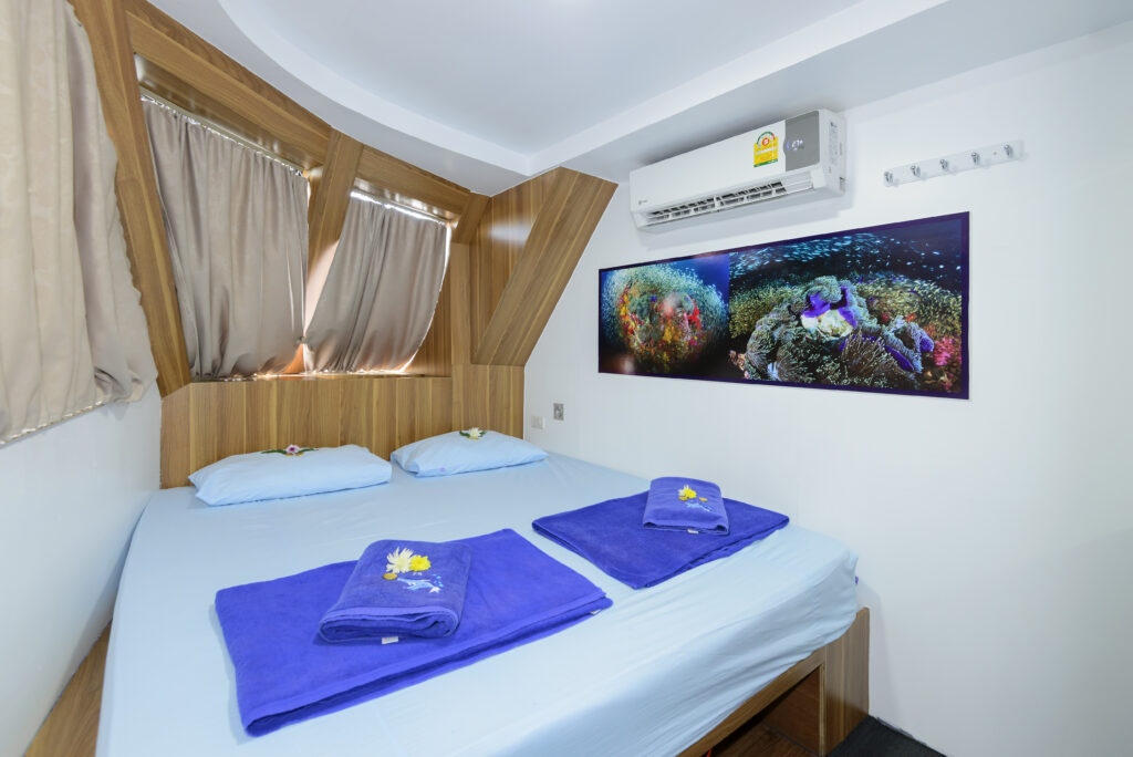 Deluxe cabin on Bavaria liveaboard dive boat